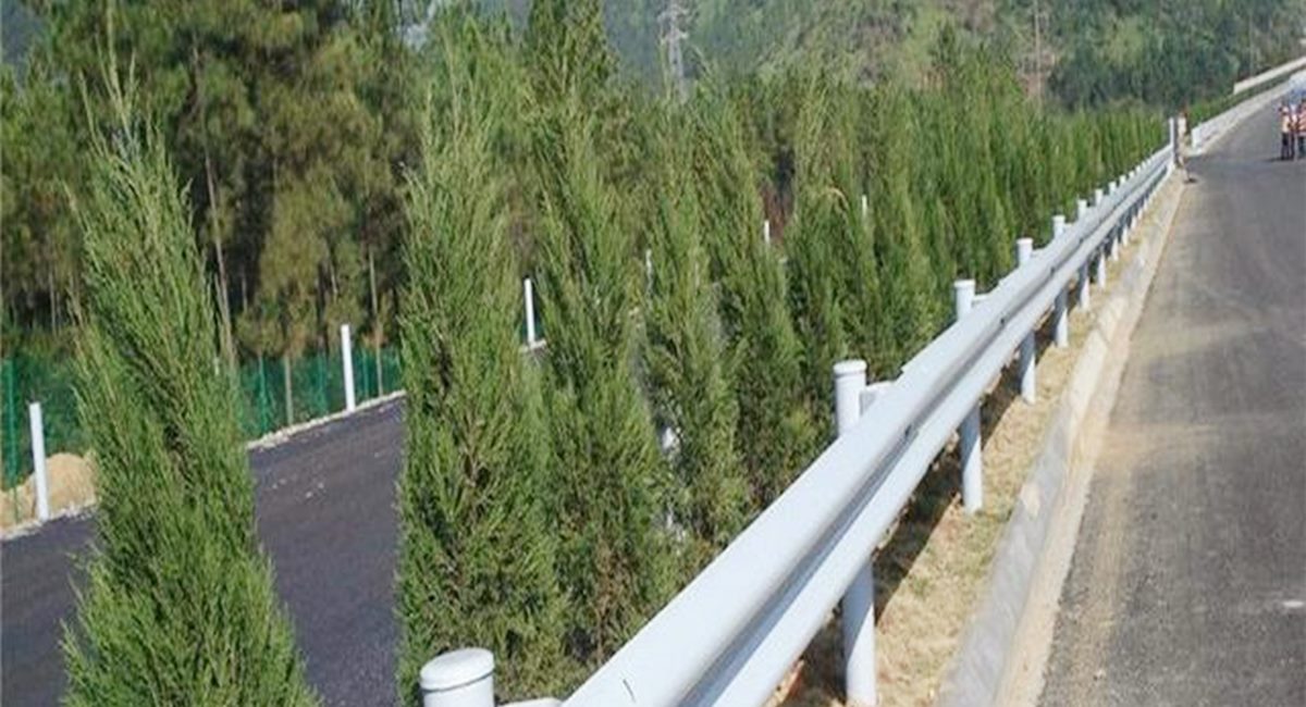 波形護(hù)欄板、鄉(xiāng)村道路護(hù)欄、單波護(hù)欄板世騰加工定制
